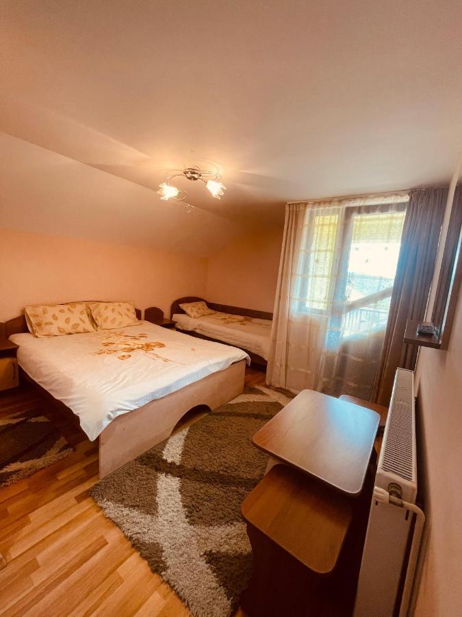 Guest house Pensiunea Valea Ursului