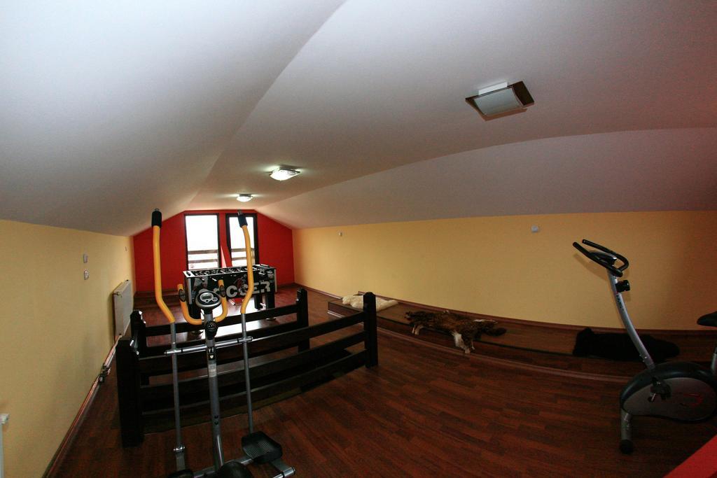 Guest house Pensiunea Valea Ursului Campulung