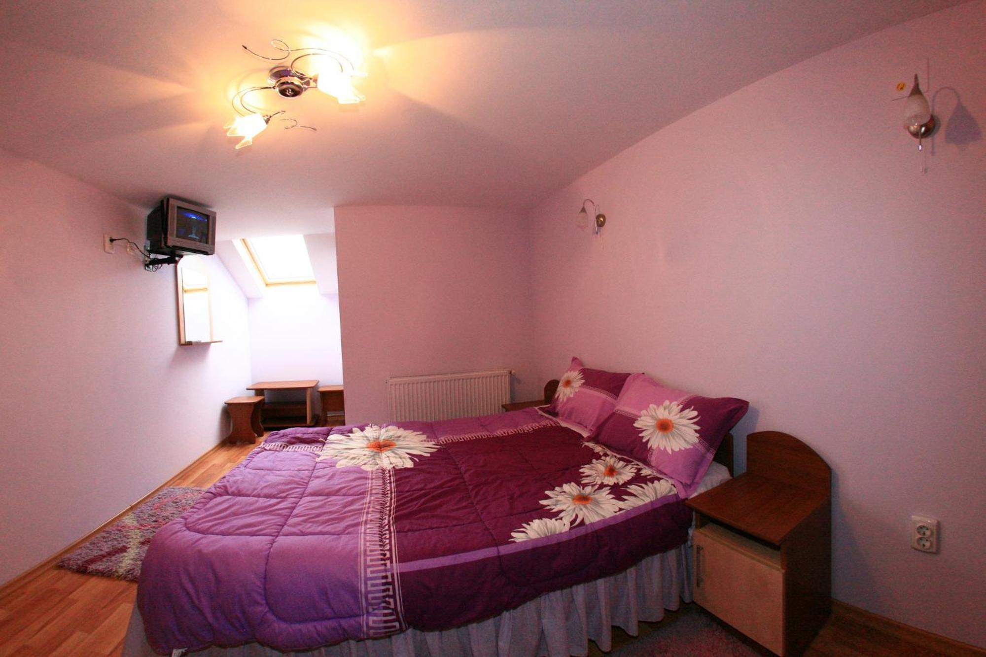 Guest house Pensiunea Valea Ursului 3*