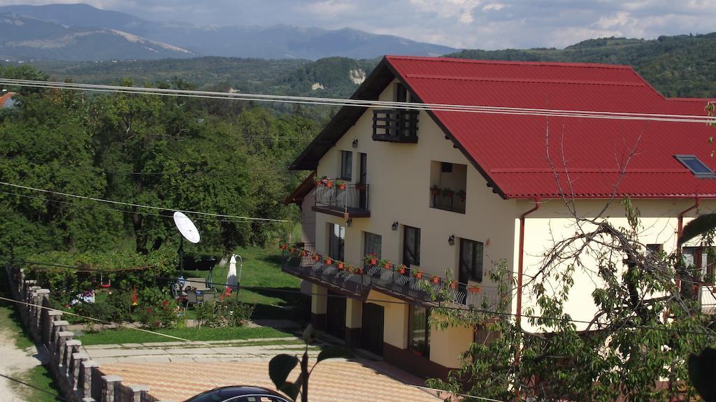 Guest house Pensiunea Valea Ursului Campulung